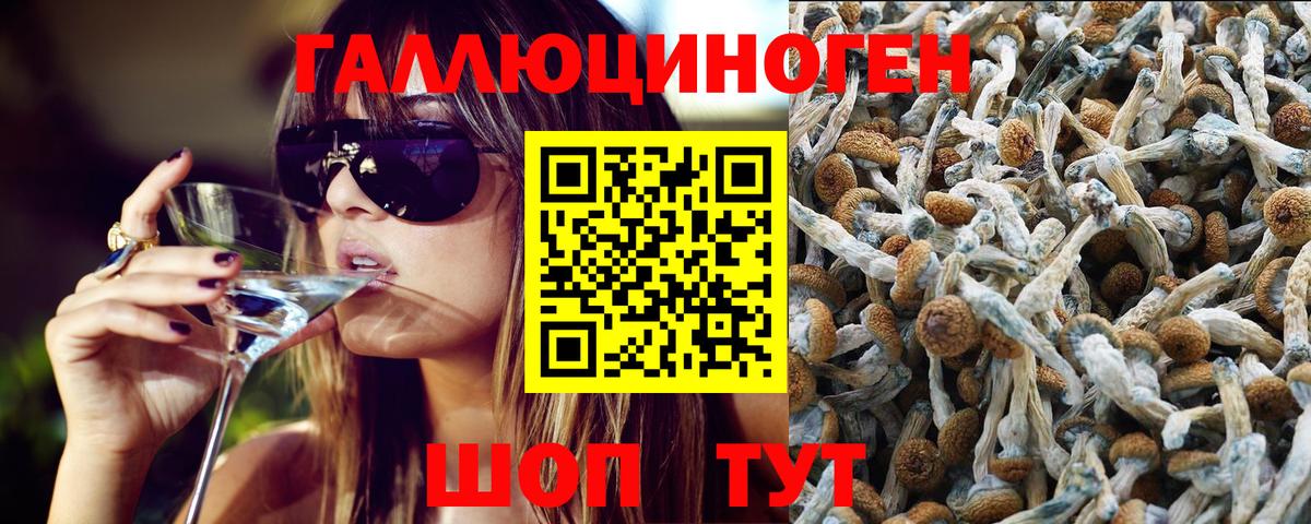 Орёл  Галлюциногенные грибы мухоморы  Вход с VPN 